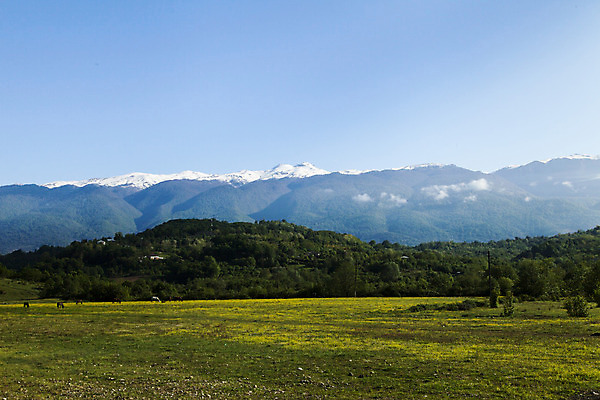 포토 JPG 해외이미지 나무 구름 계절 공원 유럽 호수 여행 백그라운드 캐나다 자연 하늘 산 풍경 사람없음 야외 초록색 물 여름 파란색 강 환경 계곡 맑음 봄 바위 흰색 시골 연기 숲 언덕 장면 내추럴 산악지대 전국 절정 콜로라도 해외202004 해외포토 자연요소 식물 공공시설 나라 컬러 북아메리카 날씨 미국 돌_바위 생태계 파일형식 이미지허브