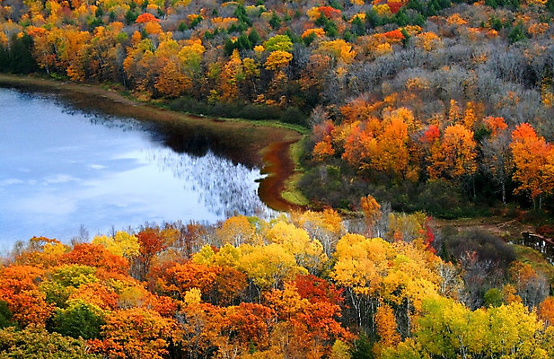포토 JPG 해외이미지 나무 공원 호수 잎 오렌지 자연 산 풍경 사람없음 빨간색 초록색 파란색 컬러풀 노란색 평화 젖음 가을 연못 그림 장면 해외202004 해외포토 식물 계절 공공시설 컬러 컨셉 과일 생태계 파일형식 이미지허브