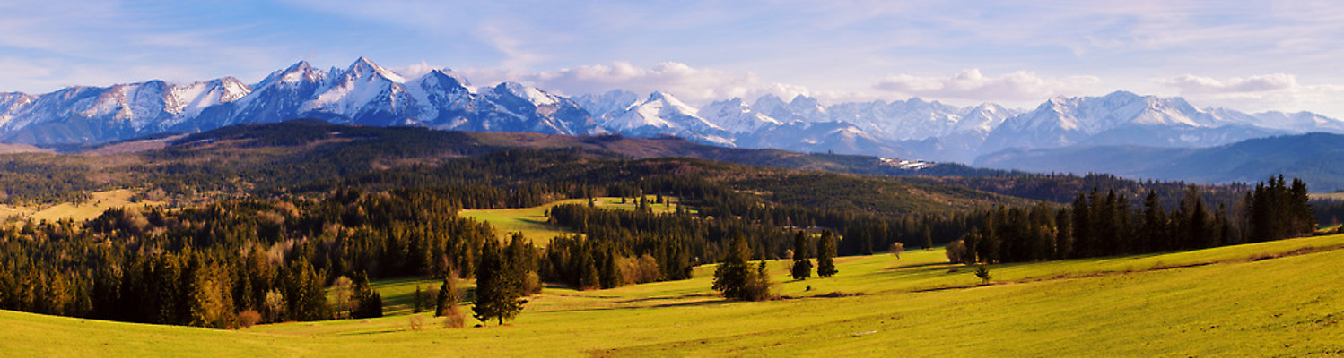포토 JPG 해외이미지 나무 구름 계절 유럽 여행 백그라운드 밭 농업 자연 하늘 휴가 산 파노라마 풍경 사람없음 목재 초록색 파란색 울타리 노란색 계곡 맑음 봄 하이킹 흰색 시골 숲 4월 언덕 전나무 폴란드 슬로바키아 절정 눈내림 가문비나무 해외202004 해외포토 자연요소 식물 나라 산업 컬러 재료 레저 날씨 눈_날씨 촬영기법 담장 날짜 생태계 파일형식 이미지허브