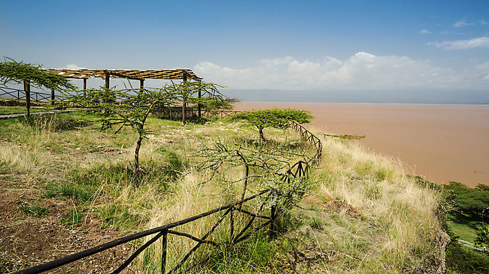 포토 JPG 해외이미지 호수 자연 조개 풍경 사람없음 초록색 물 정원 침묵 내추럴 에티오피아 해외202004 해외포토 자연요소 컬러 아프리카 어패류 소리 생태계 파일형식 이미지허브
