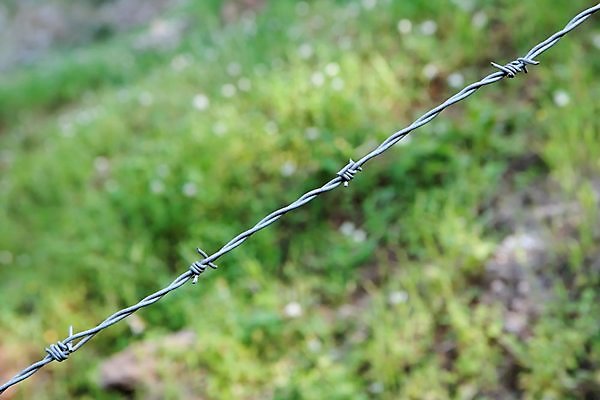 포토 JPG 해외이미지 농업 사람없음 야외 울타리 금속 철 날카로움 철사 철조망 스파이크 철강 해외202004 해외포토 산업 재질 담장 파일형식 이미지허브