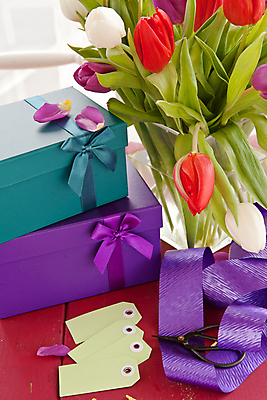 포토 JPG 해외이미지 꽃 꽃다발 백그라운드 잎 부활절 발렌타인데이 선물 사랑 사람없음 목재 장식 빨간색 초록색 선물상자 상자 컬러풀 꽃병 보라색 봄 튤립 수확 시골 신선 신용카드 생일 개화 자주색 활 강렬 카피스페이스 해외202004 해외포토 나무 식물 계절 기념일 감정 컬러 농업 재료 데이이벤트 금융 공백 파일형식 이미지허브