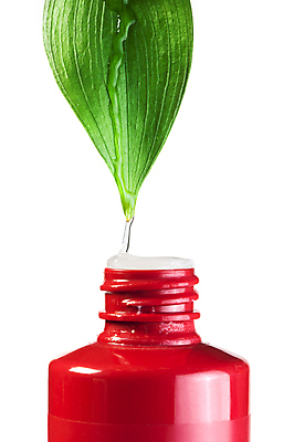 포토 JPG 해외이미지 식물 백그라운드 잎 자연 휴식 건강 사람없음 치료 초록색 물 약 스파 화장품 활발 흰색 신선 떨어짐 약국 허브 피부 순수 묘사 피부관리 유기농 아로마 로션 향 아로마테라피 테라피 내추럴 고립 돌봄 알로에 해외202004 해외포토 자연요소 웰빙 컬러 컨셉 의학 모션 신체부위 뷰티 생태계 파일형식 이미지허브