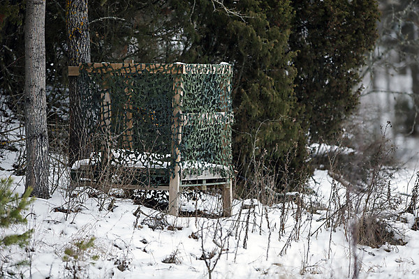 포토 JPG 해외이미지 나무 스웨덴 사람없음 목재 숲 사냥 단상 숨김 해외202004 해외포토 식물 컨셉 재료 북유럽 파일형식 이미지허브