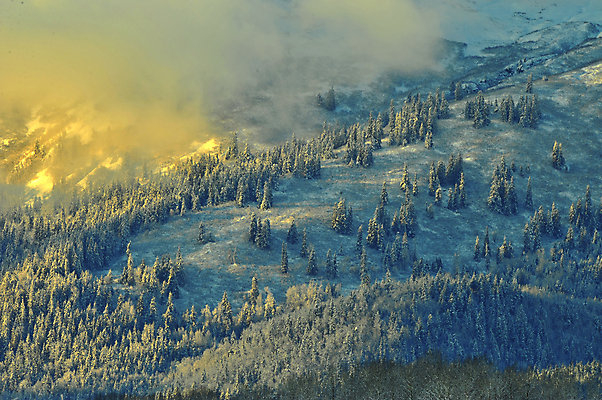 포토 JPG 해외이미지 나무 구름 계절 공원 호수 야생동물 여행 백그라운드 겨울 자연 하늘 휴가 산 파노라마 풍경 사람없음 야외 물 파란색 빛 햇빛 일출 환경 계곡 얼음 미국 일몰 추위 안개 흰색 황무지 크루즈 서리 태평양 알래스카 내추럴 절정 눈내림 해외202004 해외포토 자연요소 식물 동물 공공시설 바다 컬러 북아메리카 배_교통 날씨 눈_날씨 촬영기법 태양 노을 생태계 파일형식 이미지허브