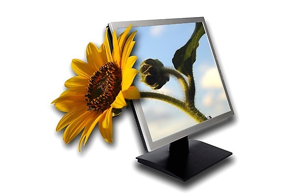 포토 JPG 해외이미지 식물 구름 꽃잎 백그라운드 오렌지 하늘 해바라기 사람없음 전자제품 컴퓨터 컬러풀 사무실 스크린 모니터 텔레비전 개화 우아함 닫기 영화관 메뉴 흰배경 고립 구성 해외202004 해외포토 자연요소 꽃 컬러 컨셉 과일 비즈니스 모션 흰색 극장 파일형식 이미지허브