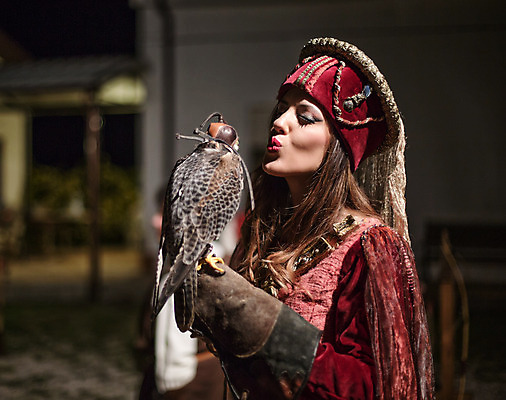 포토 JPG 해외이미지 동물 드레스 옷 여자 얼굴 백그라운드 날개 자연 조류 키스 요정 한명 사람 성인 야외 반려동물 유행 할로윈 잡기 화려 중세 우아함 야간 신비 망토 깃털 마녀 독수리 공상 나쁜 고딕 스타일 해외202004 해외포토 자연요소 1 컨셉 모션 신체부위 역사 애정표현 생태계 파일형식 이미지허브