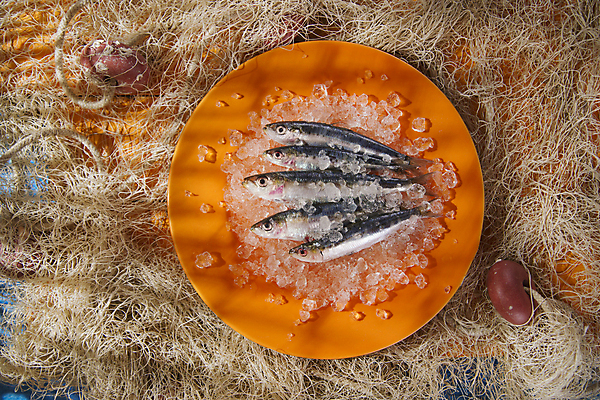 포토 JPG 해외이미지 접시 식재료 실내 사람없음 얼음 신선 그물 멸치 앤초비 해외202004 해외포토 자연요소 식기 어류 내부 파일형식 이미지허브