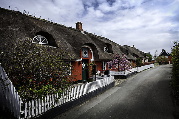 포토 JPG 해외이미지 전통 외관 도로 건축양식 벽돌 거리 주택 덴마크 사람없음 건물 가로 여름 문 수확 도시 역사 타일 타운 고립 솜씨 해외202004 해외포토 건축물 계절 건축 길 농업 교통시설 북유럽 파일형식 이미지허브