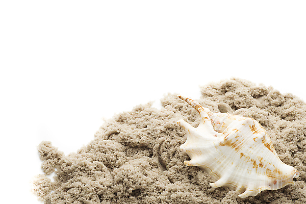 포토 JPG 해외이미지 별 모래 바다 백그라운드 컨셉 자연 불가사리 프레임 해변 사람없음 햇빛 껍질 흰색 산호 심볼 오브젝트 기념품 태평양 가리비 고립 해외202004 해외포토 자연요소 컬러 조개 극피동물 태양 자포동물 생태계 파일형식 이미지허브