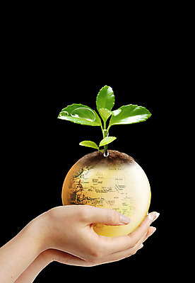 포토 JPG 해외이미지 식물 디자인 지구 여행 백그라운드 지도 인터넷 신체 일러스트 비즈니스 관리 사람없음 세계 글로벌 지구본 평화 검은색 행성 지리 해외202004 해외포토 컬러 컨셉 우주 파일형식 이미지허브