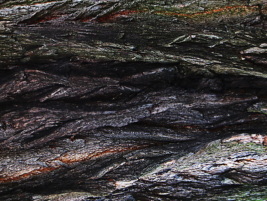 포토 JPG 해외이미지 나무 식물 디자인 공원 벽 백그라운드 패턴 자연 표면 추상 사람없음 목재 갈색 환경 거친 닫기 숲 피부 묘사 질감 나무껍질 잡동사니 내추럴 그런지 수목 옛날 노화 해외202004 해외포토 공공시설 컬러 컨셉 무늬 재료 모션 신체부위 껍질 생태계 파일형식 이미지허브