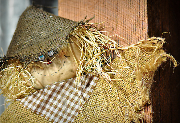 포토 JPG 해외이미지 꽃 음식 부분 호박 날씨 휴가 사람없음 야외 장식 할로윈 수확 성장 가을 변화 먹이 시원함 11월 삼베 질감 추수감사절 밀짚 10월 해외202004 해외포토 식물 계절 기독교 컨셉 농업 채소 날짜 짚 파일형식 천_직물 이미지허브
