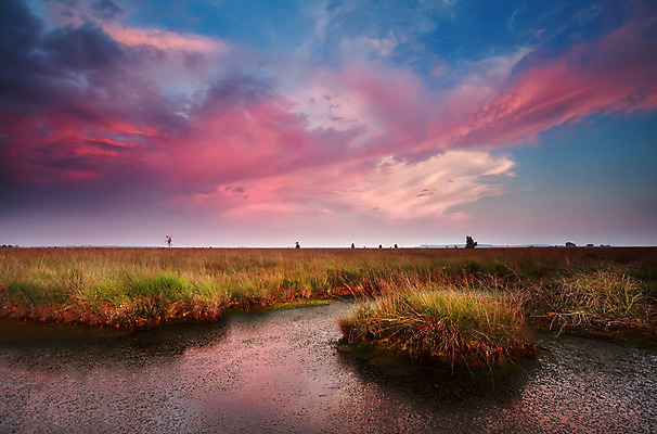 포토 JPG 해외이미지 구름 호수 분홍색 자연 하늘 풍경 사람없음 야외 빨간색 물 파란색 일출 일몰 새벽 시골 습지 저녁 네덜란드 진흙 변소 해외202004 해외포토 자연요소 유럽 컬러 노을 야간 생태계 파일형식 이미지허브