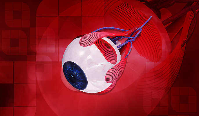 포토 JPG 해외이미지 학생 교육 과학 일러스트 해부 근육 건강 사람 사람없음 스터디 약 3D 교사 공구 도움 가르침 생물학 시력 비전 정맥 시력검사 검안사 해외202004 해외일러스트 직업 컨셉 의학 학습 도구 디지털합성 검사_조사 혈관 파일형식 안경사 이미지허브