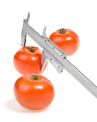 포토 JPG 해외이미지 음식 백그라운드 다이어트 토마토 채소 자연 노동자 건강 사람없음 빨간색 금속 정원 장비 흰색 기구 공구 신선 업무 수리 달콤 맛 수집 측정 오브젝트 유기농 정비공 내추럴 고립 숙성 조작 채식주의자 철강 해외202004 해외포토 직업 웰빙 컬러 컨셉 재질 도구 작업 기술자 생태계 채식 파일형식 이미지허브