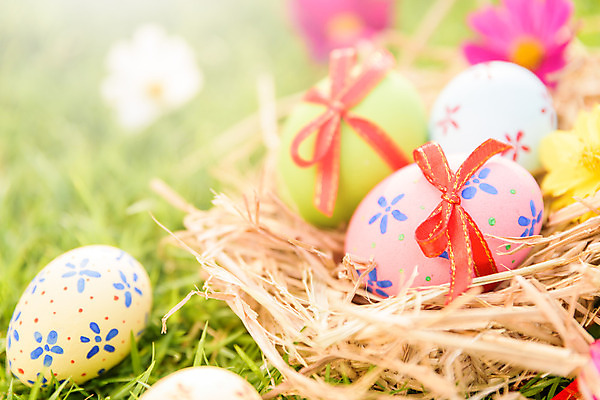 포토 JPG 해외이미지 전통 디자인 계절 꽃 행복 종교 음식 백그라운드 컨셉 자연 하늘 휴가 부활절 사람없음 야외 장식 초록색 파란색 컬러풀 노란색 바구니 우주 계란 축제 봄 흰색 축하 그리기 그룹 닫기 4월 심볼 사냥 줄서기 해외202004 해외포토 식물 기념일 감정 컬러 모션 알 날짜 생태계 파일형식 이미지허브