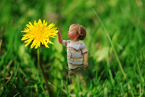 포토 JPG 해외이미지 백인 라이프스타일 계절 공원 꽃 행복 어린이 자연 놀이 동화 요정 한명 사람 앉기 소년 야외 초록색 정원 봄 기쁨 벚꽃 잡기 달콤 작음 민들레 공상 마법 난쟁이 걸음마 해외202004 해외포토 서양인 식물 1 공공시설 남자 감정 컬러 모션 생활 맛 크기 생태계 파일형식 이미지허브