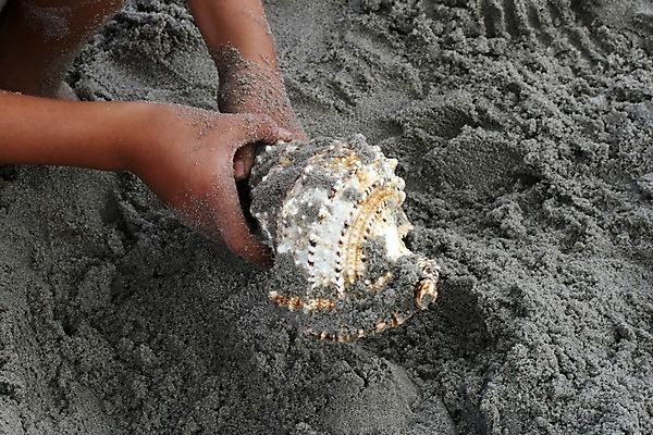 포토 JPG 해외이미지 파도 바다 백그라운드 자연 휴가 조개 새로움 해변 사람없음 물 컬러풀 껍질 도시 보트 도박 수집 카지노 소금 대서양 발견 저지 해외202004 해외포토 자연요소 컬러 컨셉 배_교통 어패류 생태계 파일형식 이미지허브