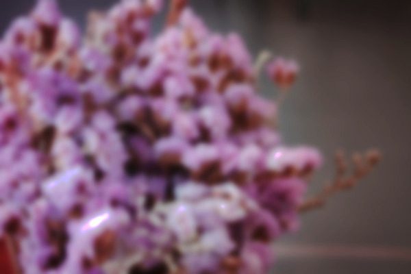 포토 JPG 해외이미지 식물 디자인 꽃 줄기 백그라운드 꽃무늬 텍스트 자연 탁자 프레임 건조 사람없음 쌓기 우주 보라색 침묵 들꽃 나뭇가지 정상 다발 허브 제비꽃 유기농 질감 향기 냄새 아로마 향 라일락 해외202004 해외포토 나무 웰빙 컬러 가구 무늬 모션 소리 생태계 파일형식 이미지허브