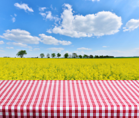 포토 JPG 해외이미지 식물 구름 계절 꽃 컨셉 밭 자연 탁자 하늘 풍경 사람없음 야외 목재 여름 파란색 빛 농작물 햇빛 농장 농경지 노란색 자유 수확 식탁보 시골 황금 정상 낟알 땅 시리얼 밀 질감 체크무늬 내추럴 깅엄 밭일 숙성 호밀 해외202004 해외포토 자연요소 나무 음식 컬러 가구 무늬 농업 재료 곡류 태양 생태계 파일형식 이미지허브