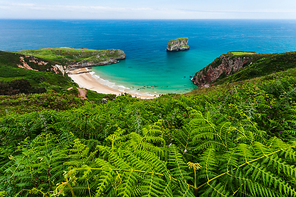 포토 JPG 해외이미지 유럽 모래 파도 바다 섬 여행 잎 자연 풍경 해변 사람없음 야외 물 여름 파란색 컬러풀 햇빛 절벽 조약돌 스페인 장면 암초 강렬 양치류 해외202004 해외포토 자연요소 식물 계절 나라 컬러 태양 돌_바위 생태계 파일형식 이미지허브