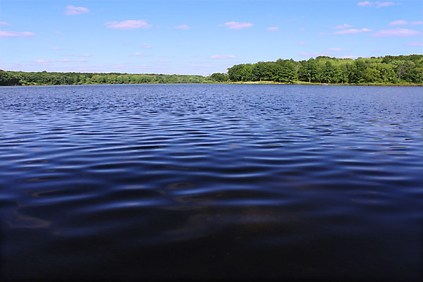 포토 JPG 해외이미지 나무 공원 호수 여행 자연 풍경 사람없음 물 환경 미국 연못 저녁 자르기 내추럴 해외202004 해외포토 자연요소 식물 공공시설 북아메리카 모션 야간 생태계 파일형식 이미지허브