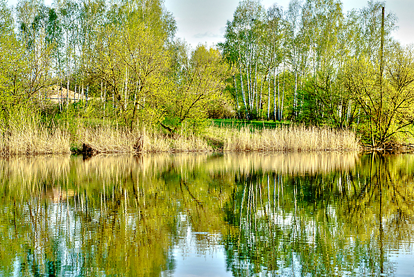 포토 JPG 해외이미지 나무 식물 계절 공원 호수 잎 골프 자연 하늘 풍경 잔디 사람없음 야외 초록색 물 여름 강 반사 환경 침묵 봄 가을 시골 연못 숲 땅 해외202004 해외포토 자연요소 공공시설 컬러 구기 소리 생태계 파일형식 이미지허브