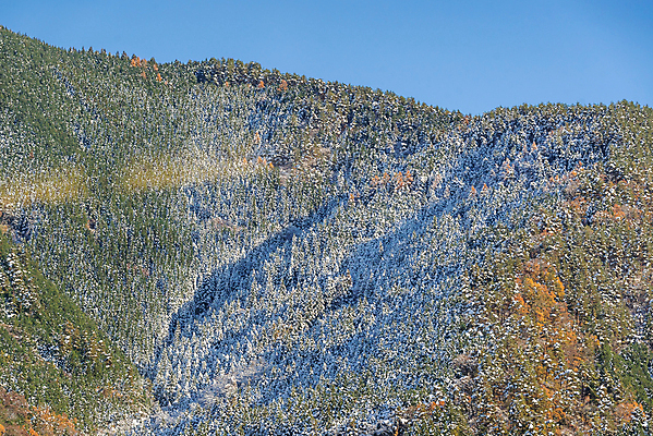 포토 JPG 해외이미지 나무 계절 공원 도로 길 줄기 단풍 잎 오렌지 자연 산 풍경 사람없음 야외 빨간색 초록색 노란색 환경 일본 카펫 활발 가을 나뭇가지 황금 숲 오솔길 과수원 9월 언덕 후지산 해외202004 해외포토 식물 공공시설 아시아 컬러 컨셉 농업 과일 교통시설 세계문화유산 날짜 생태계 파일형식 이미지허브