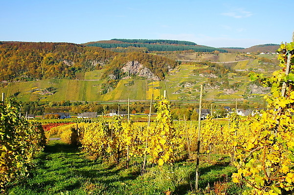 포토 JPG 해외이미지 사람없음 해외202004 해외포토 파일형식 이미지허브