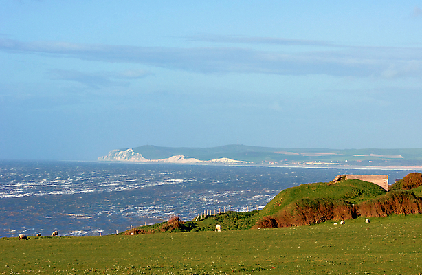 포토 JPG 해외이미지 동물 구름 유럽 파도 바다 하늘 풍경 사람없음 물 프랑스 양 채널 해외202004 해외포토 자연요소 나라 포유류 파일형식 이미지허브