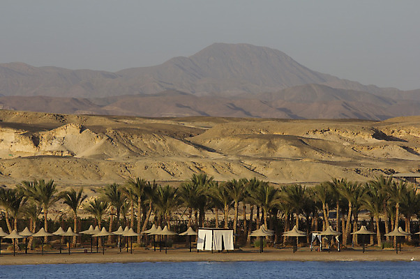 포토 JPG 해외이미지 전통문화 바다 여행 백그라운드 아프리카 휴가 산 건조 이집트 손바닥 풍경 사람없음 빨간색 여름 관광지 모래사장 야자수 사막 조약돌 바위 뜨거움 역사 모래언덕 언덕 홍해 사하라 고고학 해외202004 해외포토 나무 전통 손 계절 교육 나라 문화 컬러 돌_바위 파일형식 이미지허브