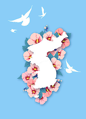 여러마리 일러스트 사람없음 평화 사회이슈 비둘기 무궁화 한반도 정상회담 남북회담 국내일러스트 AI파일 꽃 다수 컨셉 조류 회의 경제 파일형식 벡터