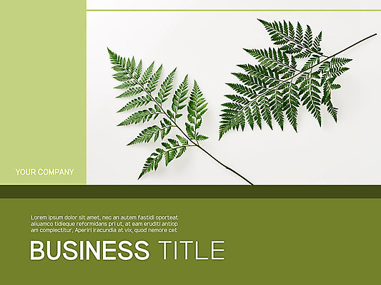 무료이미지 템플릿 꽃 지구 비즈니스 나뭇잎 종류 사람없음 세트 태양 새싹 다양 하트 최고 온도계 체온계 PPT 프레젠테이션 막대그래프 문서템플릿 문서 8P 이미지템플릿 무료PPT 자연요소 모양 식물 다수 잎 그래프 파일형식