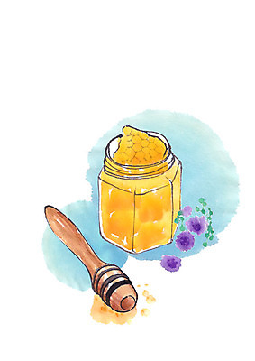 PSD 꽃 일러스트 캘리그라피 붓터치 사람없음 막대기 건강식품 꿀단지 벌꿀 국내일러스트 식물 음식 건강 꿀 파일형식