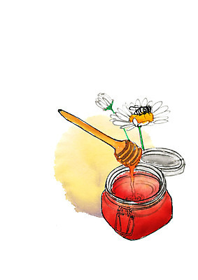 PSD 한마리 꽃 일러스트 캘리그라피 붓터치 사람없음 막대기 꿀벌 건강식품 꿀단지 벌꿀 국내일러스트 식물 1 음식 건강 벌_곤충 꿀 파일형식