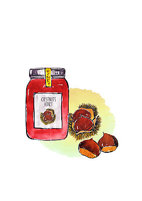 PSD 일러스트 캘리그라피 붓터치 사람없음 밤 밤송이 건강식품 밤가시 밤꿀 국내일러스트 음식 건강 견과류 밤_견과류 꿀 파일형식