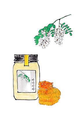 PSD 일러스트 캘리그라피 붓터치 사람없음 건강식품 꿀 아카시아 꿀단지 벌꿀 아카시아꽃 국내일러스트 나무 꽃 음식 건강 파일형식