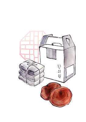 PSD 일러스트 캘리그라피 붓터치 사람없음 한약 한의원 건강식품 영지버섯 한약첩 국내일러스트 음식 건강 병원 약 버섯 한약재 파일형식