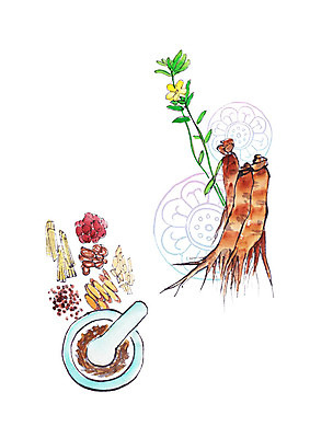 PSD 일러스트 캘리그라피 붓터치 사람없음 전통무늬 한약재 인삼 건강식품 막자사발 인삼꽃 국내일러스트 전통 꽃 음식 무늬 건강 약재 삼 사발 파일형식