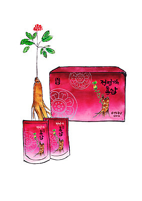 PSD 일러스트 캘리그라피 붓터치 사람없음 전통무늬 건강식품 인삼꽃 홍삼 홍삼액기스 국내일러스트 전통 꽃 음식 무늬 건강 삼 즙 파일형식