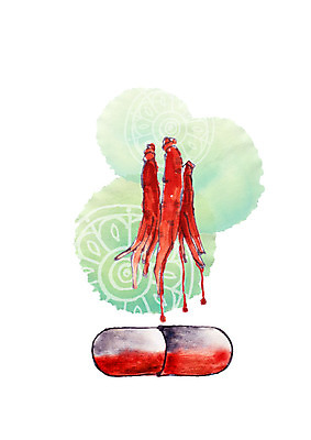 PSD 일러스트 캘리그라피 붓터치 사람없음 빨간색 알약 건강식품 홍삼 홍삼액기스 국내일러스트 음식 컬러 건강 약 삼 즙 파일형식