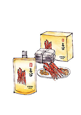 PSD 일러스트 캘리그라피 붓터치 사람없음 한약재 건강식품 한약첩 홍삼 홍삼액기스 국내일러스트 음식 건강 약재 삼 즙 파일형식