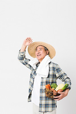 포토 JPG 스튜디오촬영 응시 할아버지 남자 채소 실내 한명 미소 사람 상반신 옆모습 수건 손들기 바구니 농사 한국인 수확 가림 농부 밀짚모자 귀농 70대 노인남자한명만 소상공인 국내포토 직업 모자_잡화 1 시선 노년 뷰포인트 농업 모션 표정 동양인 내부 경제 위생용품 상인 남자한명만 노인남자만 파일형식