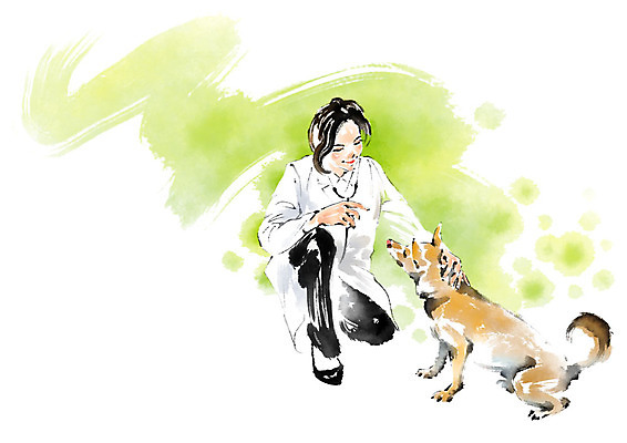 전신 PSD 한마리 여자 일러스트 캘리그라피 청진기 붓터치 한명 미소 사람 앉기 성인 강아지 동물병원 수의사 반려 쓰다듬기 국내일러스트 1 의료기기 모션 표정 병원 반려동물 의사 개 파일형식