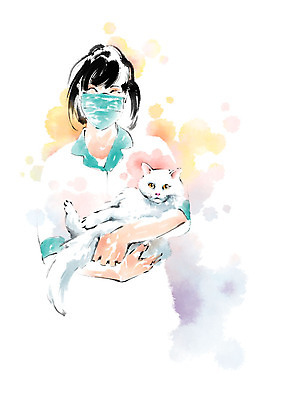 PSD 한마리 여자 일러스트 캘리그라피 안기 붓터치 마스크 한명 사람 상반신 성인 고양이 동물병원 수의사 반려 국내일러스트 1 포유류 모션 병원 반려동물 의사 파일형식