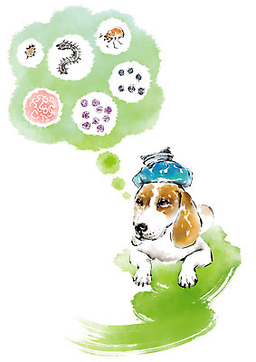 PSD 한마리 일러스트 캘리그라피 붓터치 사람없음 바이러스 강아지 질병 감염 동물병원 얼음주머니 기생충 반려 국내일러스트 1 의학 병원 반려동물 개 주머니 파일형식