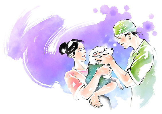 PSD 한마리 여자 남자 일러스트 캘리그라피 안기 붓터치 미소 사람 상반신 성인 두명 치료 마주보기 진료 간호사 강아지 수술복 동물병원 수의사 반려 국내일러스트 1 의학 모션 표정 병원 반려동물 의료진 의사 가운 개 파일형식