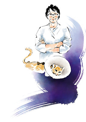 PSD 한마리 여자 일러스트 캘리그라피 붓터치 한명 사람 상반신 성인 치료 팔짱 고양이 진료 동물병원 수의사 반려 넥카라 애묘용품 국내일러스트 반려용품 1 포유류 의학 모션 병원 반려동물 의사 오브젝트 파일형식