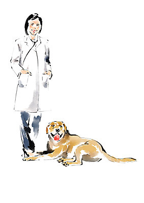 전신 PSD 한마리 여자 일러스트 캘리그라피 청진기 붓터치 한명 미소 사람 성인 의사가운 강아지 동물병원 수의사 반려 국내일러스트 1 의료기기 표정 병원 반려동물 의사 가운 개 파일형식